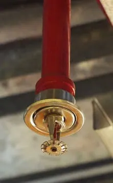 Concealed sprinkler head and photo-electric smoke detector on a ceiling, both maintained under AS 1851-2012 by Safe QLD Fire Protection
